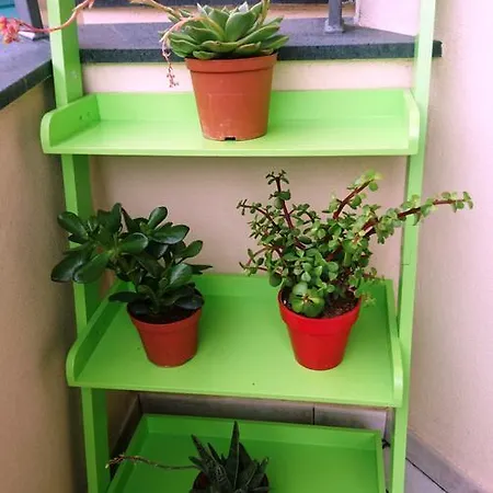 Nerissa Apartment *